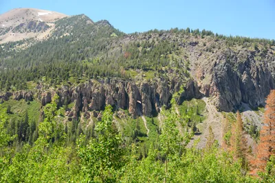 DSC_0031 (Large).JPG